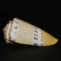 DSC08224.JPG