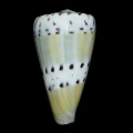 DSC08228.JPG