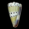 DSC08229.JPG