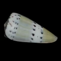 DSC08230.JPG