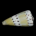 DSC08232.JPG