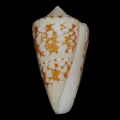 DSC08243.JPG
