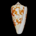 DSC08247.JPG