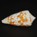 DSC08249.JPG