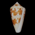 DSC08251.JPG
