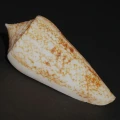 DSC08257.JPG