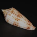 DSC08262.JPG