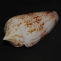 DSC08263.JPG