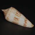 DSC08267.JPG