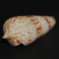DSC08268.JPG