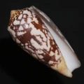 DSC08296.JPG