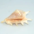 DSC08301.JPG