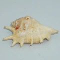 DSC08302.JPG