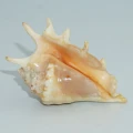 DSC08304.JPG