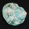 DSC08306.JPG