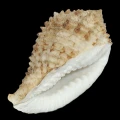 DSC08320.JPG