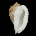 DSC08318.JPG