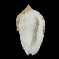 DSC08322.JPG