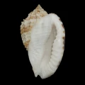 DSC08326.JPG