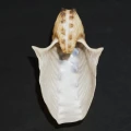 DSC08399.JPG