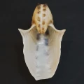 DSC08400.JPG