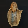 DSC08406.JPG
