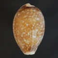 DSC08455.JPG