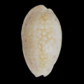 DSC08470.JPG