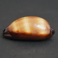 DSC08475.JPG