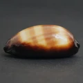 DSC08479.JPG