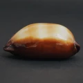 DSC08483.JPG