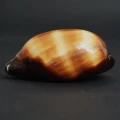 DSC08491.JPG