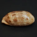 DSC08500.JPG