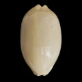 DSC08522.JPG