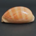 DSC08538.JPG
