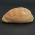 DSC08534.JPG