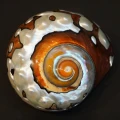 DSC08557.JPG