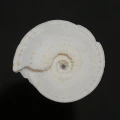 DSC08573.JPG