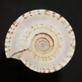 DSC08566.JPG