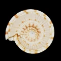 DSC08583.JPG