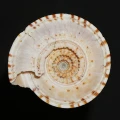 DSC08569.JPG