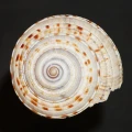 DSC08570.JPG