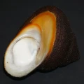 DSC08588.JPG