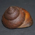 DSC08590.JPG