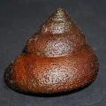 DSC08591.JPG