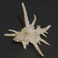 DSC08610.JPG
