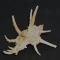 DSC08612.JPG