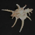 DSC08620.JPG