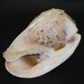 DSC08659.JPG
