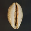 DSC08673.JPG